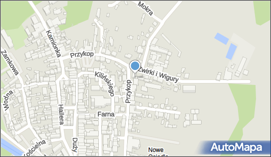 8741000859, Zakład Przerobu Drewna 