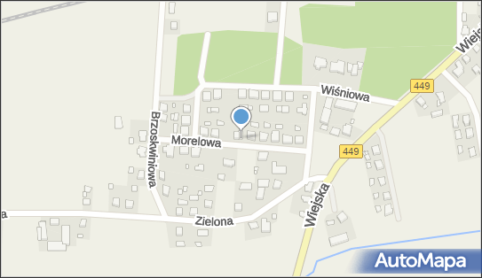 Ciemny Tadeusz, Morelowa 7, Książenice 63-520 - Przedsiębiorstwo, Firma, NIP: 6221662530