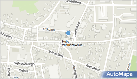 Cioss Adrian Prymas, Warszawska 73, Wieruszów 98-400 - Przedsiębiorstwo, Firma, NIP: 9970140628