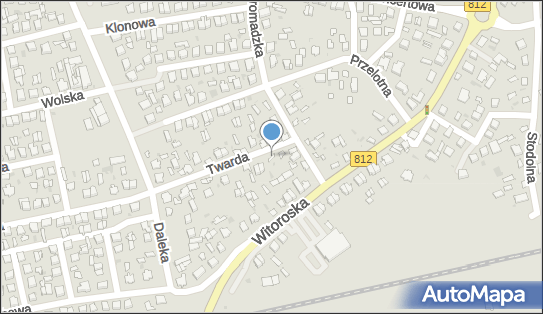5372639103, Ciresita Badiu 