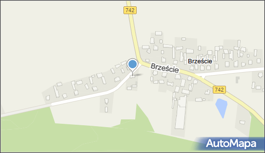 Cisowski Service Zbigniew Cisowski, Brzeście 5, Brzeście 29-120 - Przedsiębiorstwo, Firma, NIP: 7721182644