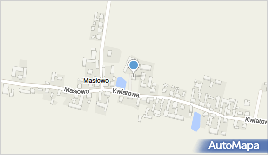 Cita Szymon Taciak, Masłowo 39, Masłowo 63-140 - Przedsiębiorstwo, Firma, NIP: 7851747889