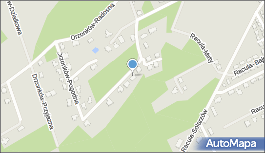 9291264925, City Optyk Ewa Janas 