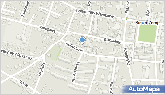 CLT, ul. Tadeusza Kościuszki 60, Busko-Zdrój 28-100 - Przedsiębiorstwo, Firma, NIP: 6551847764