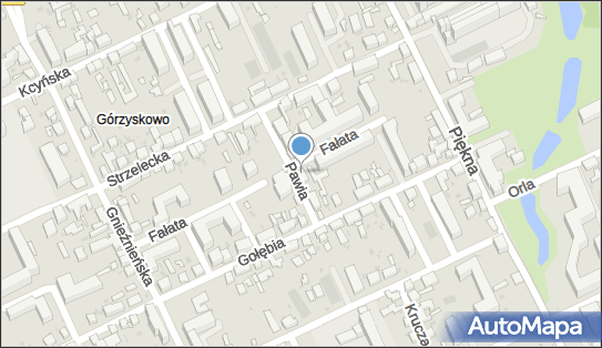9532517748, Kamil Lewandowski 