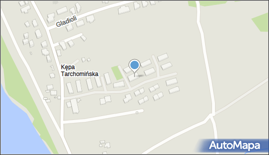Coauch & Trener, ul. Kępa Tarchomińska 6J/1, Warszawa 03-113 - Przedsiębiorstwo, Firma, NIP: 5241107216