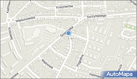 Coccodrillo Concepts, Kwiatowa 2, Kościan 64-000 - Przedsiębiorstwo, Firma, numer telefonu, NIP: 6981803798