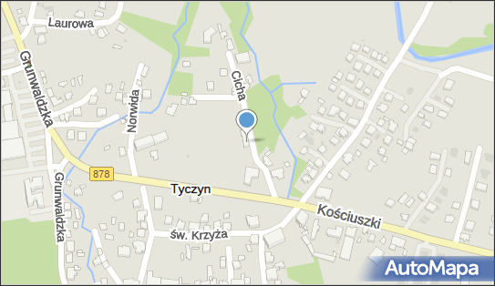 Colorstyl, ul. Cicha 5, Tyczyn 36-020 - Przedsiębiorstwo, Firma, NIP: 8132646080