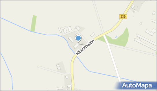 9151051750, Consulting A.M.Ferenc, Anna Ferenc 