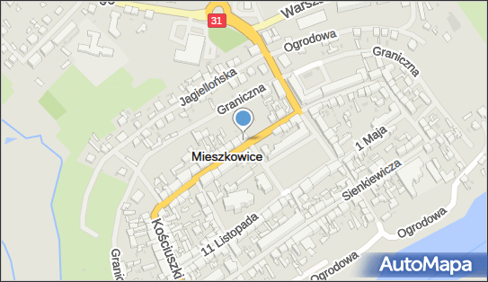 321557582, Consulting - Net Piotr Chyza 