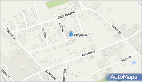 8771336305, Pniewski Maciej Consulting 