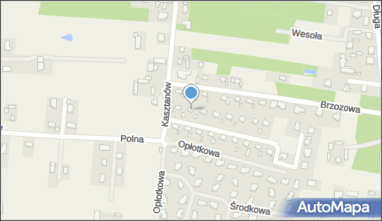 Coolhunter Tomasz Grzybowski, Słonecznikowa 3, Ustanów 05-540 - Przedsiębiorstwo, Firma, NIP: 7391986226