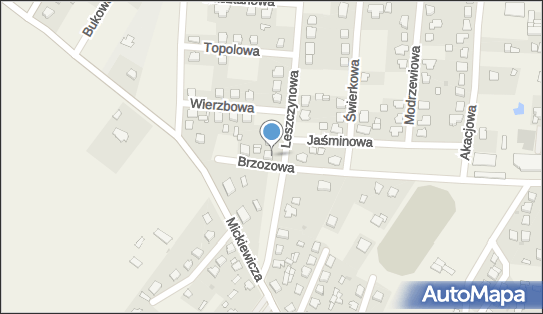 Copy - Mak Firma Handlowo-Usługowa Mendyk Krzysztof, Leszczynowa 1 06-445 - Przedsiębiorstwo, Firma, NIP: 5691276700