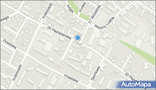 Cora Firma, 20 Października 16, Środa Wielkopolska 63-000 - Przedsiębiorstwo, Firma