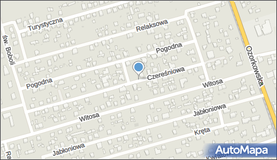 Coraj Firma Handlowa, Czereśniowa 8, Zgierz 95-100 - Przedsiębiorstwo, Firma, NIP: 7321020990