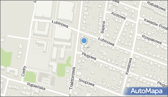 Cosmio, Traktorowa 13, Łódź 91-116 - Przedsiębiorstwo, Firma, numer telefonu, NIP: 7272787934