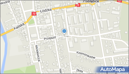 Courier Service & Logistics Aneta Izydorczyk-Haba, Poddębice 99-200 - Przedsiębiorstwo, Firma, NIP: 8281353377
