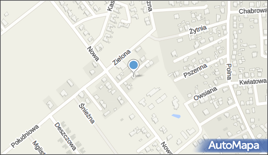 Credo, Nowa 52a, Wiry 62-051 - Przedsiębiorstwo, Firma, NIP: 7821199012