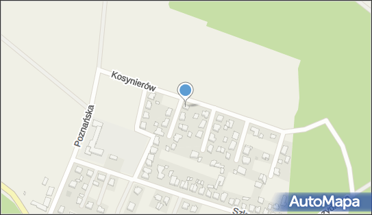 CVIP, Kosynierów 15, Rogalin 62-022 - Przedsiębiorstwo, Firma