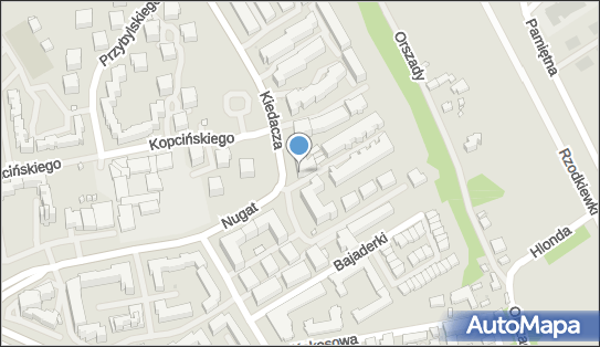 014922036, Cyber-Aleksander Goszczycki 