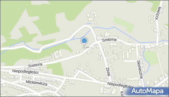 Cyman R.Tłumacz, Nowa Ruda, Srebrna 5, Nowa Ruda 57-400 - Przedsiębiorstwo, Firma, NIP: 8851242492