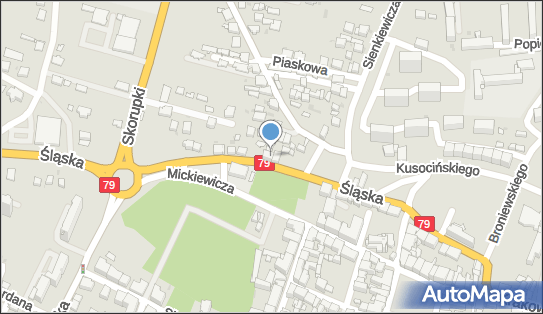 Czapiński Adam Handel Usługi, ul. Śląska 20, Chrzanów 32-500 - Przedsiębiorstwo, Firma, NIP: 6280003786