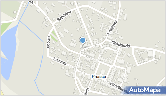 Czesław Cybulski, ul. Kolejowa 27, Prusice 55-110 - Przedsiębiorstwo, Firma, NIP: 9151219876