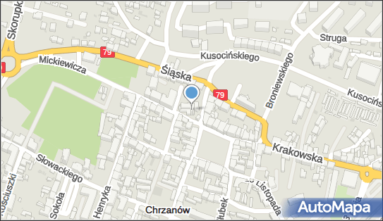 Czesława Szymczyk - Działalność Gospodarcza, Chrzanów 32-500 - Przedsiębiorstwo, Firma, NIP: 6281419508