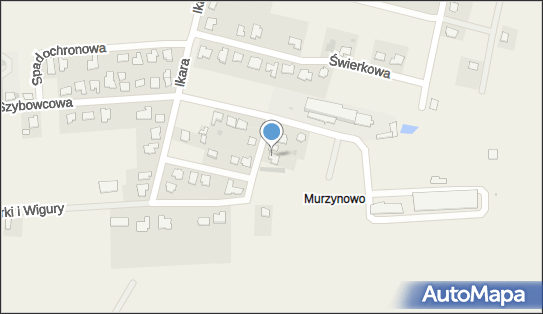 Cztery Łapy Magdalena Ostrowska, Balonowa 3, Kruszyn 87-853 - Przedsiębiorstwo, Firma, NIP: 8881142921