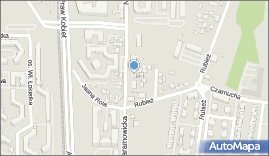 9720880637, Waldemar Turek Czysty dach.pl 