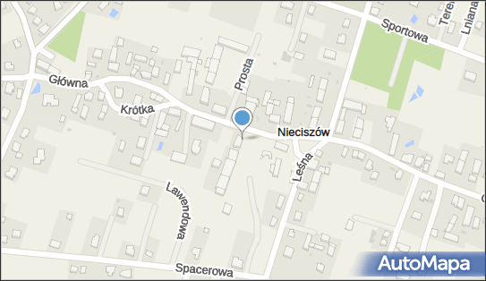 D R U K L A N D Studio Komputerowe Andrzej Migalski, Nieciszów 50 56-400 - Przedsiębiorstwo, Firma, NIP: 9111634422