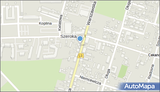 590709796, Dajfor Izabela Piotrkowska 