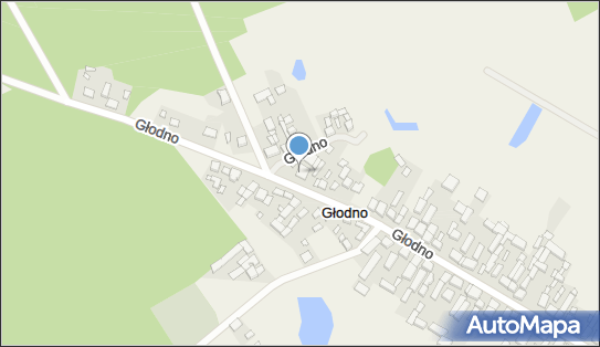 Damex Transport Damian Smyczyński, Głodno 69, Głodno 62-068 - Przedsiębiorstwo, Firma, NIP: 9231644222