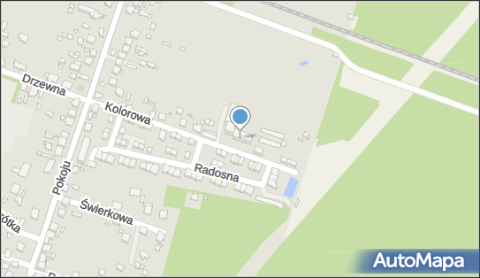 6252289084, Damian Głodny 