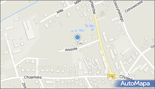 Damian Nowak Multi Geo Plan, Wesoła 4, Dębno 74-400 - Przedsiębiorstwo, Firma, NIP: 5971677570
