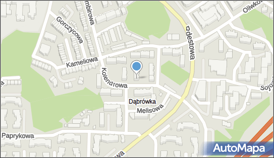 Damian Walczak, Kolendrowa 8a, Gdynia 81-589 - Przedsiębiorstwo, Firma, NIP: 5862209539