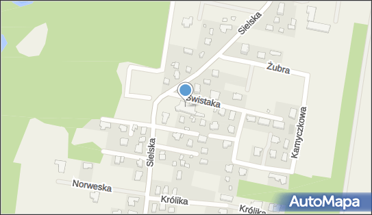 1230912260, Dana Service Izabela Trzoch 