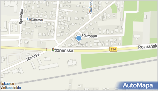 DANA, Poznańska 5, Jerzykowo 62-007 - Przedsiębiorstwo, Firma, NIP: 7841443604