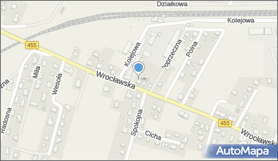 Daniel Ostrowski Golden Dragon, Wrocławska 43, Czernica 55-003 - Przedsiębiorstwo, Firma, NIP: 9121593943