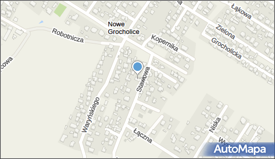 Danmarket, Stawowa 21a, Nowe Grocholice 05-090 - Przedsiębiorstwo, Firma, numer telefonu, NIP: 1130024413