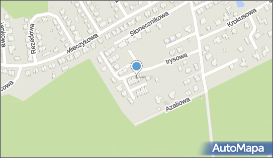 Danuta Darzynkiewicz, Irysowa 13, Zielona Góra 65-012 - Przedsiębiorstwo, Firma, NIP: 9291120014