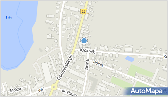 Danuta Lew - Kiedrowska Pracownia Protetyczna Technik Dentystyczny Danuta Lew-Kiedrowska 77-400 - Przedsiębiorstwo, Firma, NIP: 7671280852