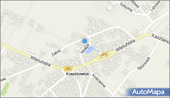 Daria, Kraszkowice 45 B, Kraszkowice 98-324 - Przedsiębiorstwo, Firma, NIP: 8321904229