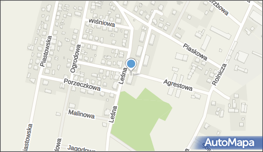 9161184381, Dariusz Lisiak ul.Piaskowa 26/3, 56-330 Cieszków 