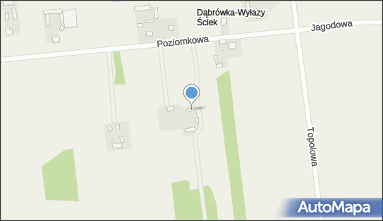 Dariusz Patoleta Lamalinche, Dąbrówka-Wyłazy 150 08-114 - Przedsiębiorstwo, Firma, NIP: 8211523443
