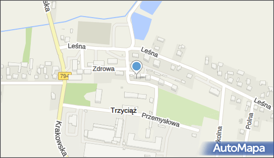 Dariusz Petlic, Trzyciąż 72b, Trzyciąż 32-353 - Przedsiębiorstwo, Firma, NIP: 6372115122