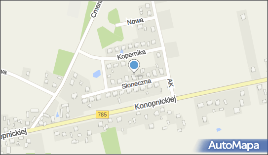 Dariusz Rosa - Ośrodek Szkolenia Kierowców Fuks, Słoneczna 10 97-532 - Przedsiębiorstwo, Firma, NIP: 9491501040