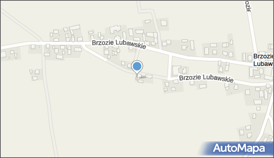 Dariusz Wiśniewski, Brzozie Lubawskie 26, Brzozie Lubawskie 13-306 - Przedsiębiorstwo, Firma, NIP: 8771069198