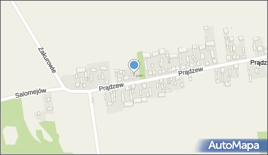 DariuszPietrzyk, Prądzew 60, Prądzew 97-438 - Przedsiębiorstwo, Firma, NIP: 8321335926