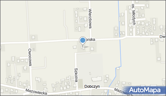 Darmir, Szkolna 11, Dobczyn 05-205 - Przedsiębiorstwo, Firma